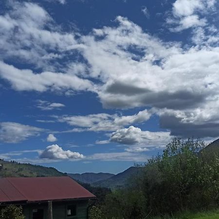 Agriturismo Il Mulino Stibiveri 외부 사진