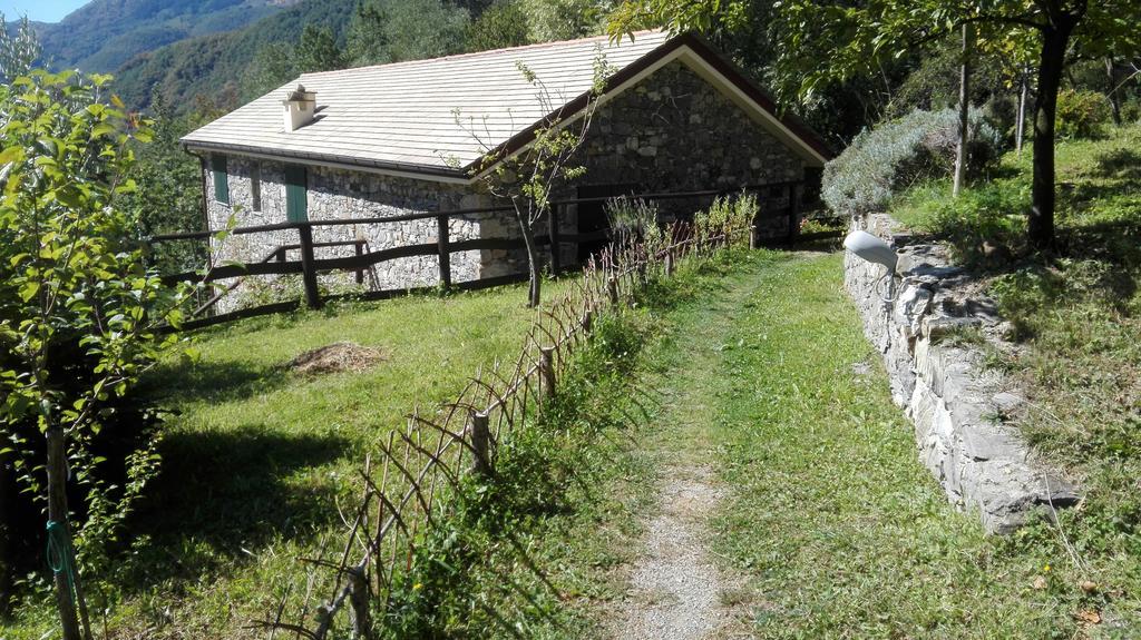 Agriturismo Il Mulino Stibiveri 외부 사진